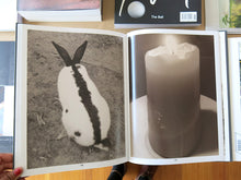 Load image into Gallery viewer, Paul Kooiker – Eggs and Rarities