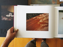 Load image into Gallery viewer, Jem Southam – The Moth