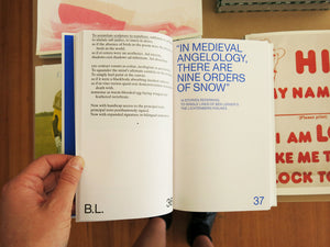 Ben Lerner & Alexander Kluge – The Snows of Venice