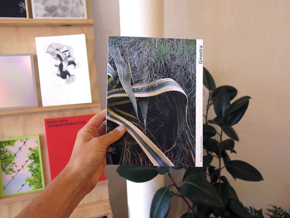 Benedetta GroBrubatscher Ginostra 写真集　洋書 Benedetta Grossrubatscher - Ginostra – Perimeter Books