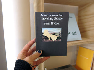 Peter Wilson - Some Reasons for Travelling to Italy