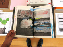 Load image into Gallery viewer, Masahisa Fukase - Hibi