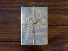 Load image into Gallery viewer, SPECIAL EDITION: Danielle Mericle – The Dark Wood
