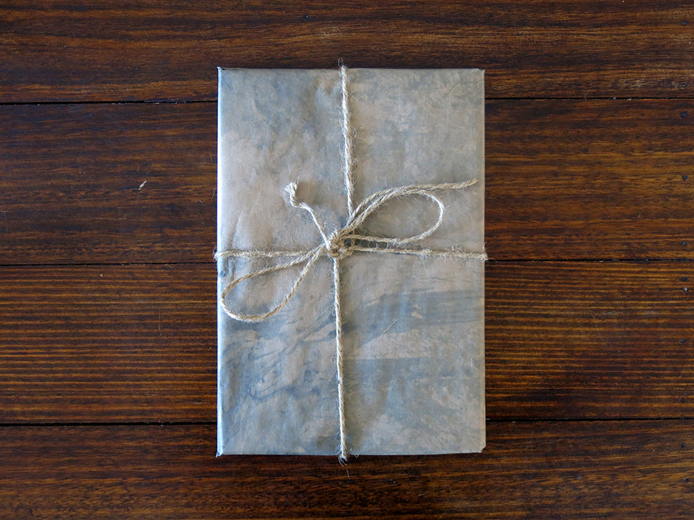 SPECIAL EDITION: Danielle Mericle – The Dark Wood