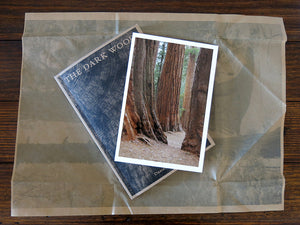 SPECIAL EDITION: Danielle Mericle – The Dark Wood