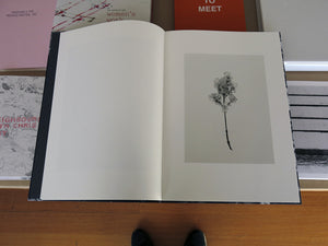 Mayumi Hosokura - Transparency is the new mystery