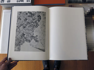 Mayumi Hosokura - Transparency is the new mystery