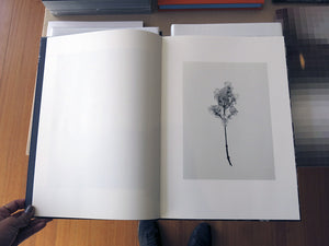 Mayumi Hosokura - Transparency is the new mystery