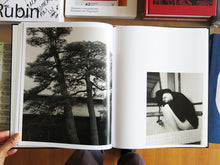 Load image into Gallery viewer, Lena C. Emery – Yuka &amp; The Forest (With Print)