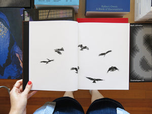 Paolo Pellegrin – On Birds (Des oiseaux)