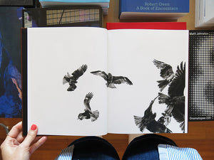 Paolo Pellegrin – On Birds (Des oiseaux)