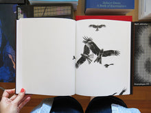 Load image into Gallery viewer, Paolo Pellegrin – On Birds (Des oiseaux)