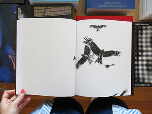Paolo Pellegrin – On Birds (Des oiseaux)