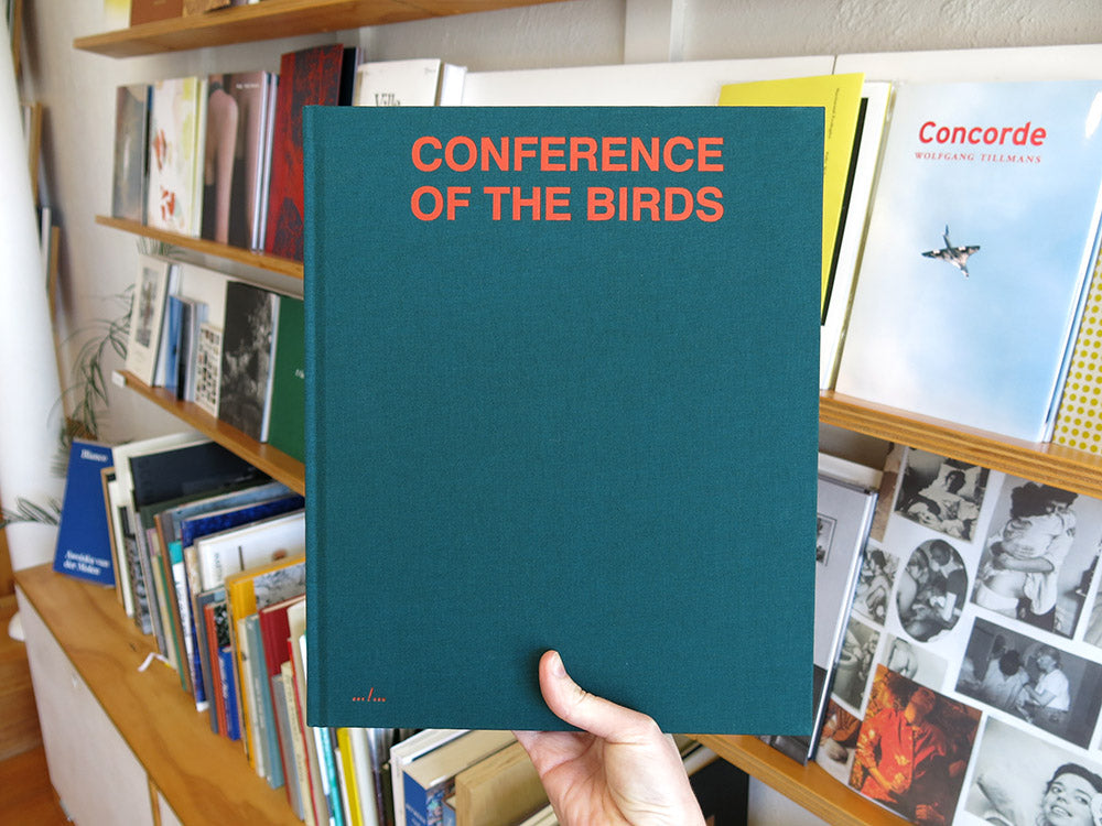 Sybren Vanoverberghe – Conference of the Birds