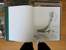 Load image into Gallery viewer, Sybren Vanoverberghe – Conference of the Birds
