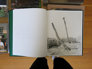 Sybren Vanoverberghe – Conference of the Birds