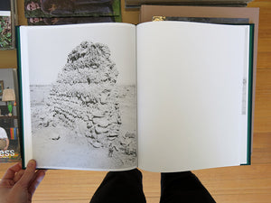 Sybren Vanoverberghe – Conference of the Birds