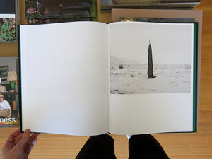 Sybren Vanoverberghe – Conference of the Birds