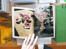 Load image into Gallery viewer, Lin Zhipeng a.k.a. No.223 – Flowers and Fruits