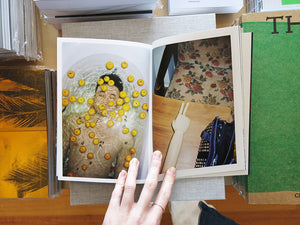 Lin Zhipeng a.k.a. No.223 – Flowers and Fruits