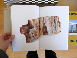Bad Luck, Hot Rocks: Conscience Letters & Photographs from the Petrified Forest (Second Edition)