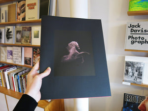 Tom Goldner – Do Brumbies Dream in Red?