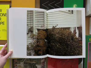 Raymond Meeks – ciprian honey cathedral