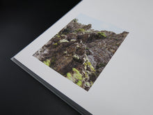 Load image into Gallery viewer, Sam Contis – Deep Springs (Rare)