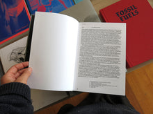 Load image into Gallery viewer, Florian Hecker - Chimerizations