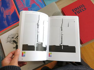 Florian Hecker - Chimerizations