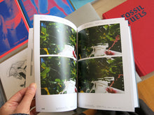 Load image into Gallery viewer, Florian Hecker - Chimerizations