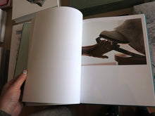 Load image into Gallery viewer, Torbjørn Rødland - Confabulations