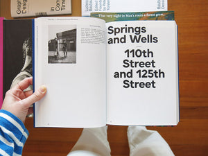 Stanley Greenberg – Springs and Wells, Manhattan and the Bronx