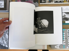 Load image into Gallery viewer, Taiyo Onorato &amp; Nico Krebs - Light of Other Days