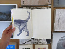 Load image into Gallery viewer, Arcatecture: Swiss Cat Ladders