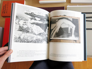 Camille Henrot - Prehistoric Collections