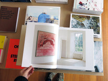 Load image into Gallery viewer, Philip Guston - Late Paintings