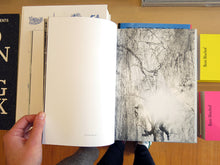 Load image into Gallery viewer, Jenny Kaellman - The Rectangle&#39;s Sharp Stare