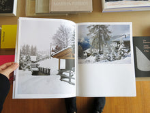 Load image into Gallery viewer, Alain Bublex - A Japanese Afternoon