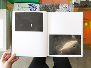 Albarrán Cabrera – On Birds (Des oiseaux)