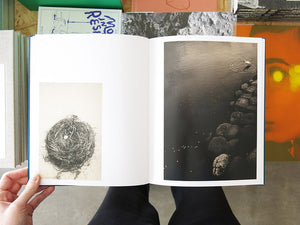 Albarrán Cabrera – On Birds (Des oiseaux)