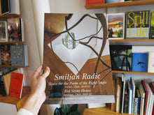 Load image into Gallery viewer, Residential Masterpieces 21: Smiljan Radic
