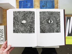 Graciela Iturbide – On Birds (Des oiseaux)