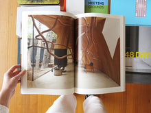 Load image into Gallery viewer, Residential Masterpieces 21: Smiljan Radic