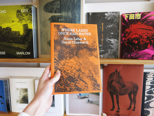 PRE-ORDER: Sonia Leber and David Chesworth: Where Lakes Once Had Water
