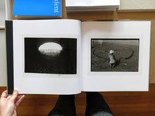 Load image into Gallery viewer, Guido Guidi – Lunario, 1968-1999