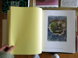 Shozo Shimamoto