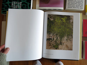 Shozo Shimamoto