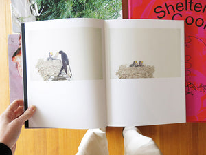 Rinko Kawauchi – On Birds (Des oiseaux)