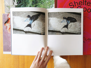 Rinko Kawauchi – On Birds (Des oiseaux)